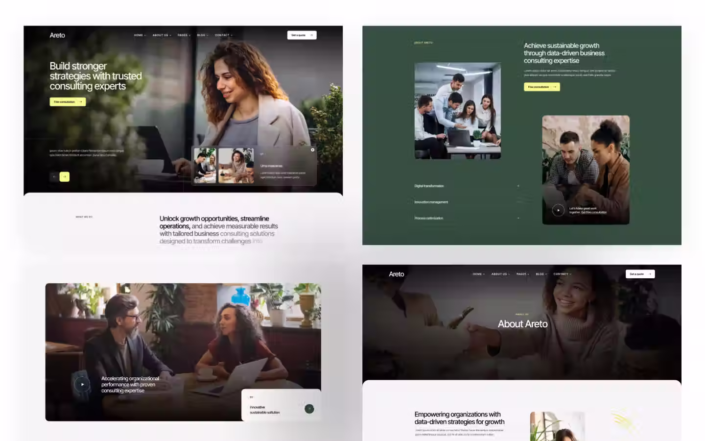 Areto website screens