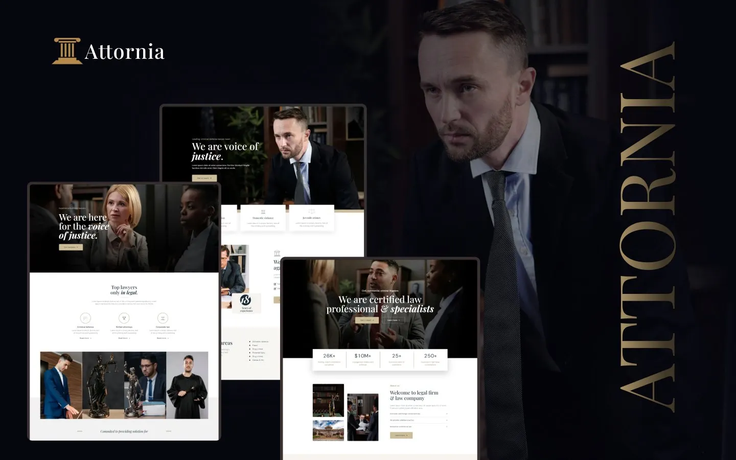 Attornia website screen 3