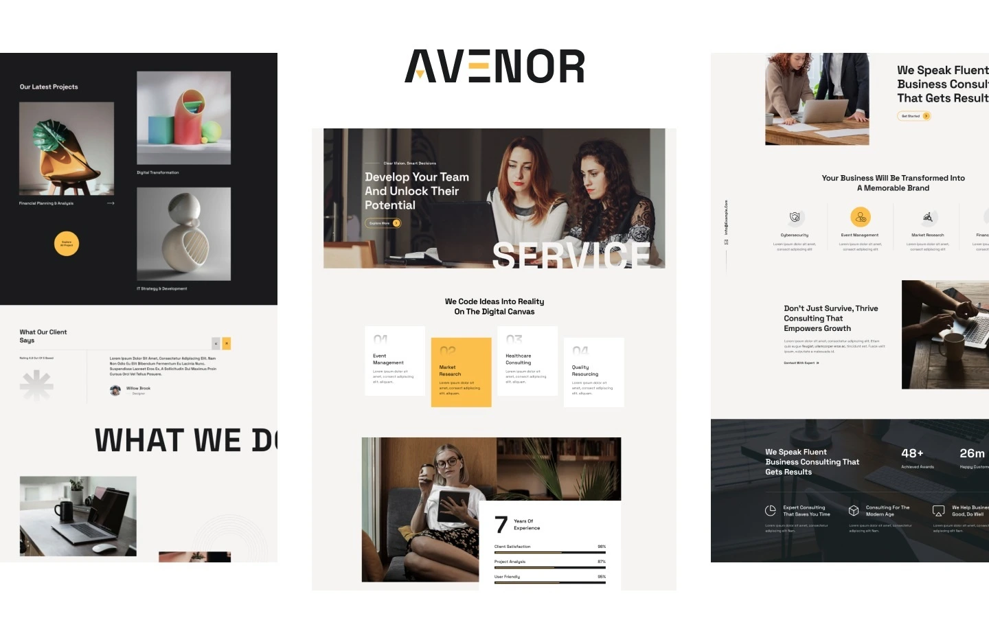 Avenor website screen 3