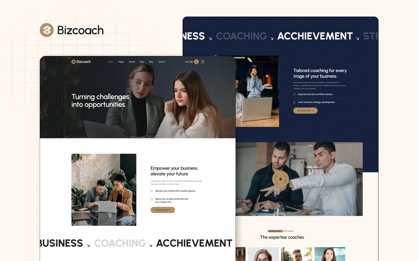 BizCoach website screens