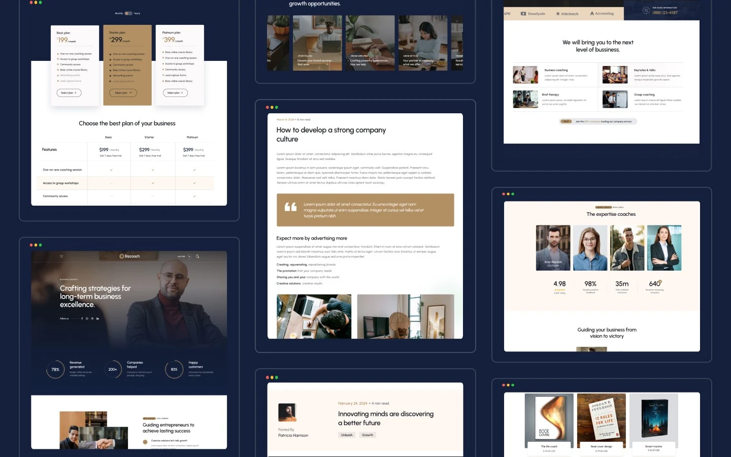 BizCoach website screen 3