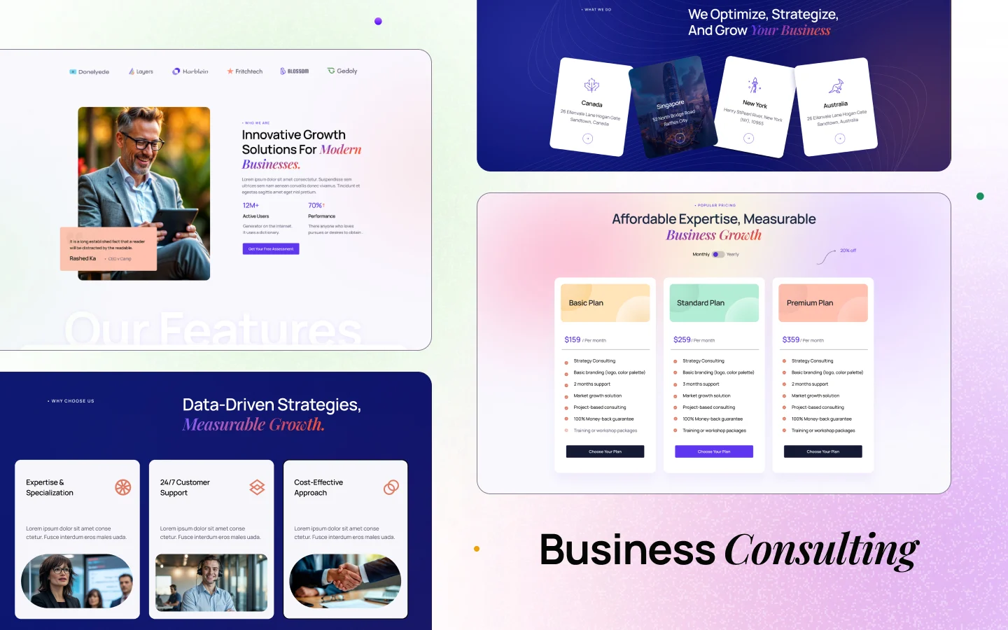 Bizgrowth website screen 2