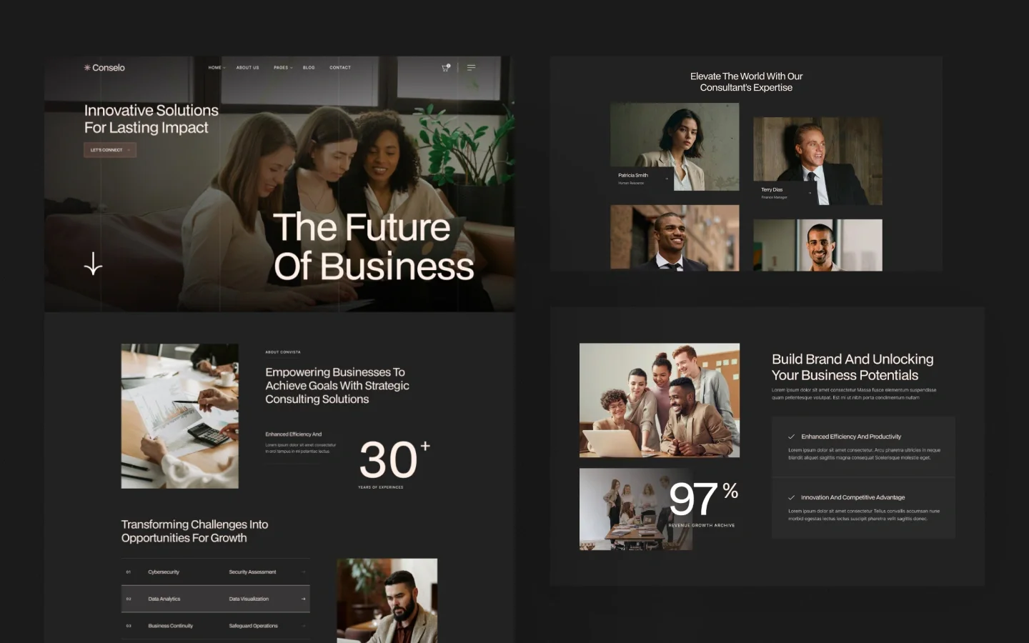 Conselo website screens