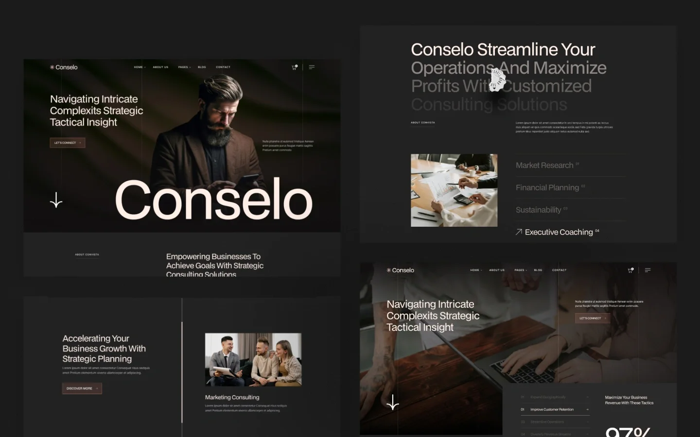 Conselo website screen 2