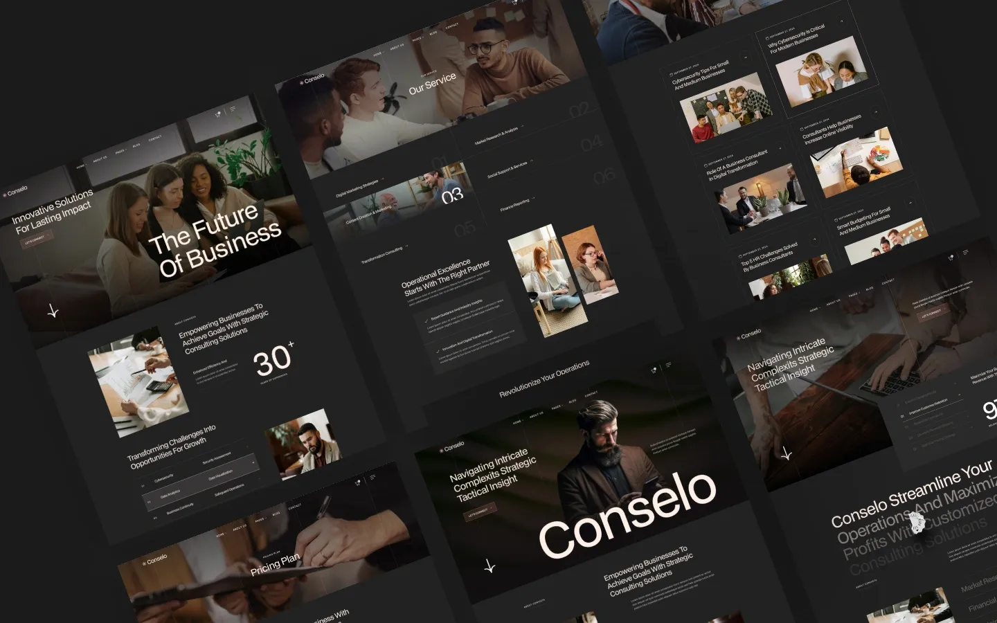 Conselo website screen 3