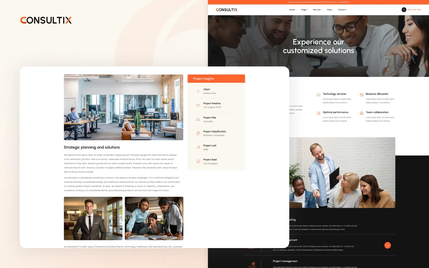 Consultix website screens