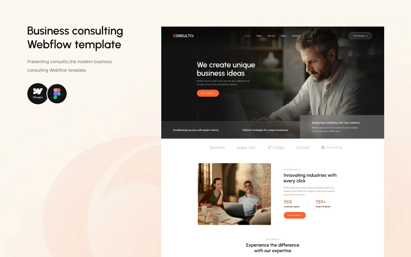 Consultix website screen 3